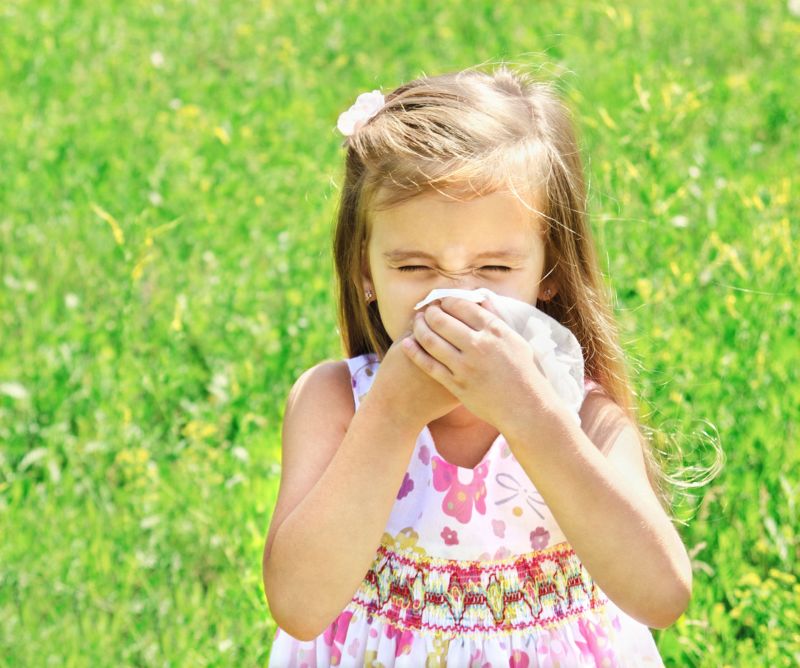 Alergia – jak to działa