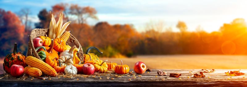 Te wskazówki pozwolą Ci przetrwać jesień w dobrym zdrowiu