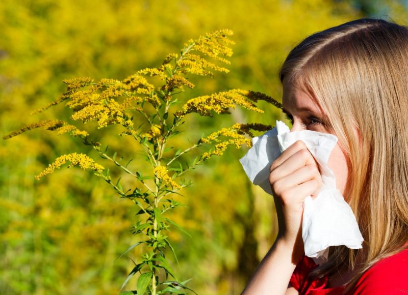 Jak sobie radzić z alergią wziewną