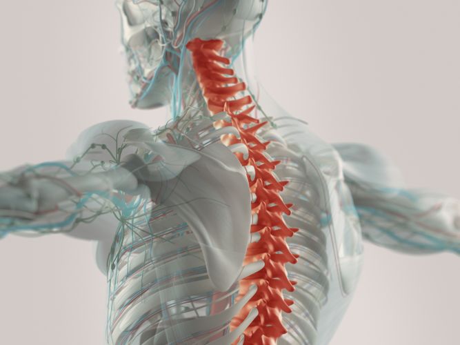 Poznaj przyczyny bólu pleców - leczenie bólu kręgosłupa